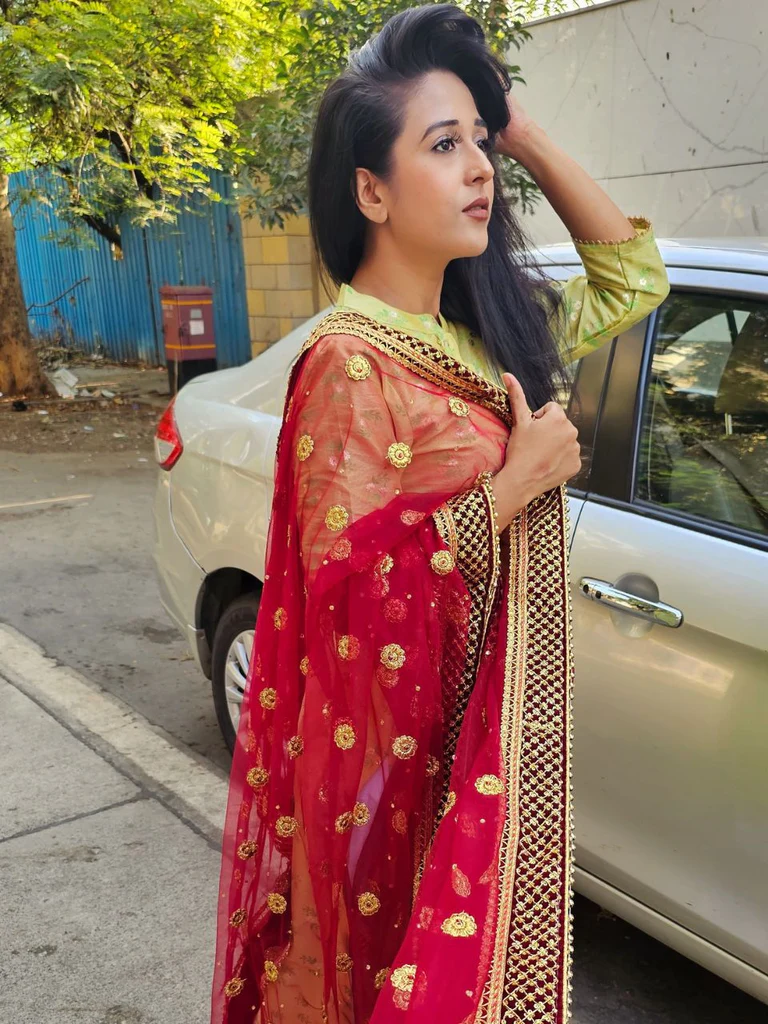 Embroidered Maroon Bridal & Wedding Wear Net Dupatta - Image 4