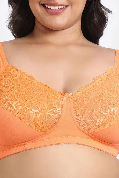 True Curv Single Layered Non Wired 3/4th Coverage Super Support Bra - Image 4
